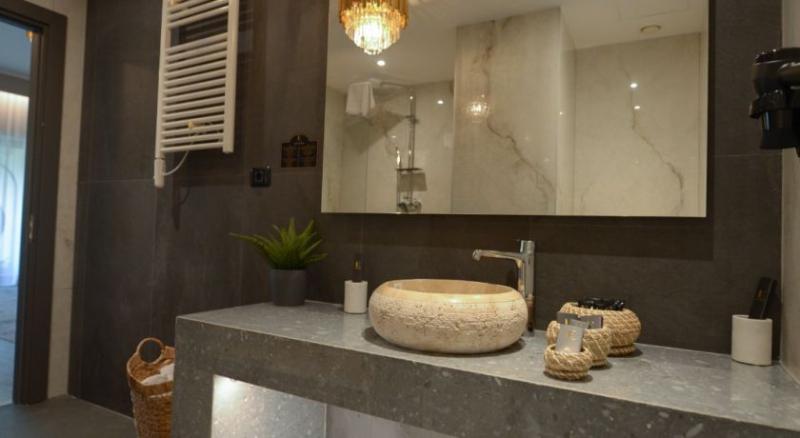 Полулюкс Вид на Горы, Elexus Apartments Poiana Brasov