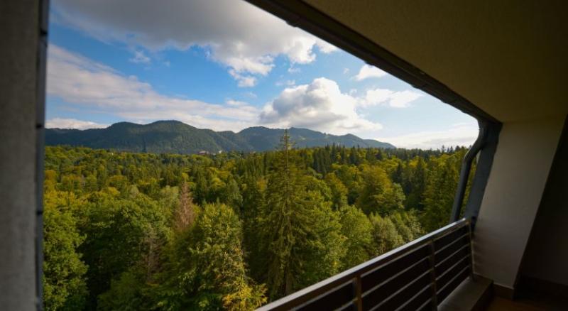 Полулюкс Вид на Горы, Elexus Apartments Poiana Brasov