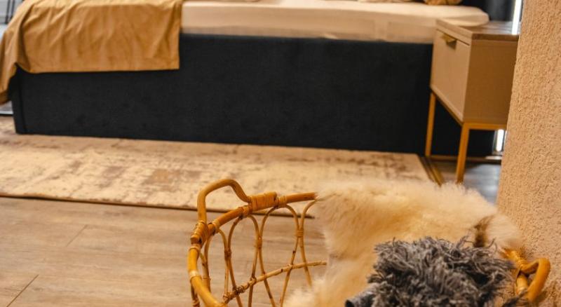 Номер Deluxe Вид на Горы, Elexus Apartments Poiana Brasov