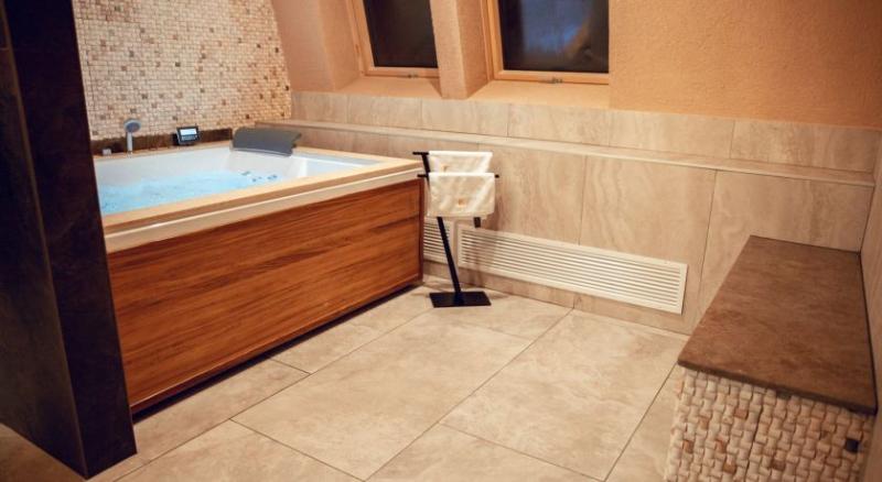 Номер Deluxe Вид на Горы, Elexus Apartments Poiana Brasov