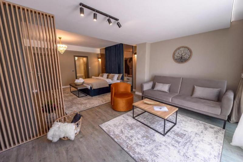 디럭스 주니어 스위트, Elexus Apartments Poiana Brasov