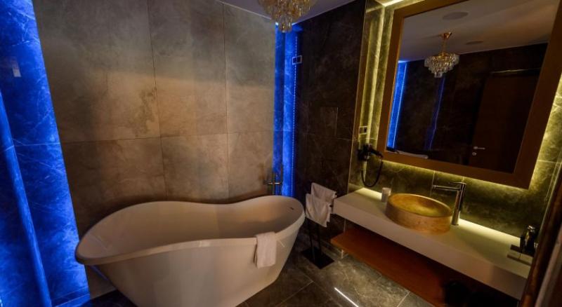 Полулюкс Повышенной Комфортности, Elexus Apartments Poiana Brasov