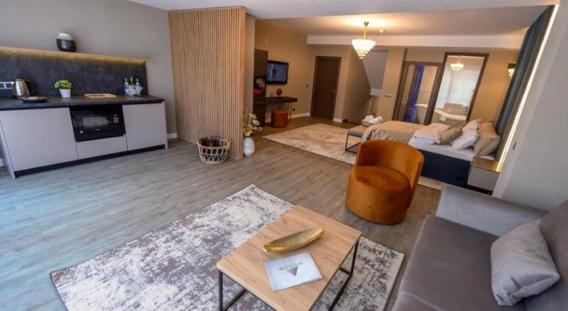 Полулюкс Повышенной Комфортности, Elexus Apartments Poiana Brasov