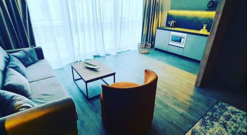 Полулюкс Повышенной Комфортности, Elexus Apartments Poiana Brasov