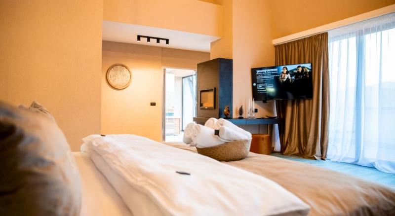 이그제큐티브 룸, Elexus Apartments Poiana Brasov