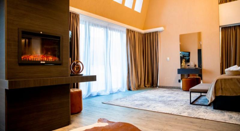 이그제큐티브 룸, Elexus Apartments Poiana Brasov