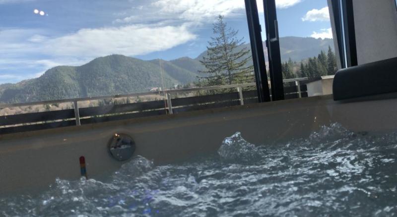 Номер Executive, Elexus Apartments Poiana Brasov