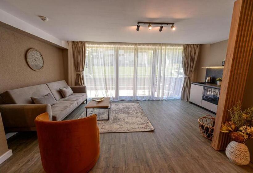 Полулюкс Повышенной Комфортности, Elexus Apartments Poiana Brasov