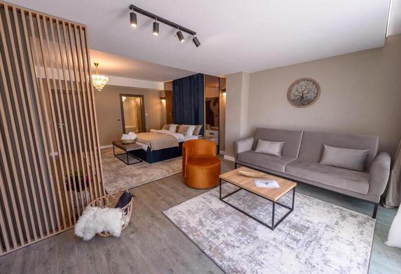 Полулюкс Повышенной Комфортности, Elexus Apartments Poiana Brasov