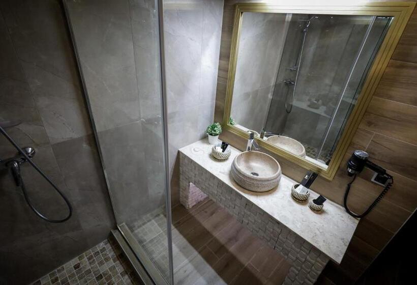 Номер Стандарт Двуспальная Кровать, Elexus Apartments Poiana Brasov