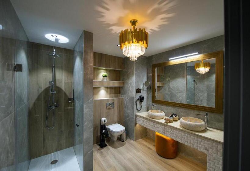 Апартаменты Пентхаус 1 Спальня, Elexus Apartments Poiana Brasov