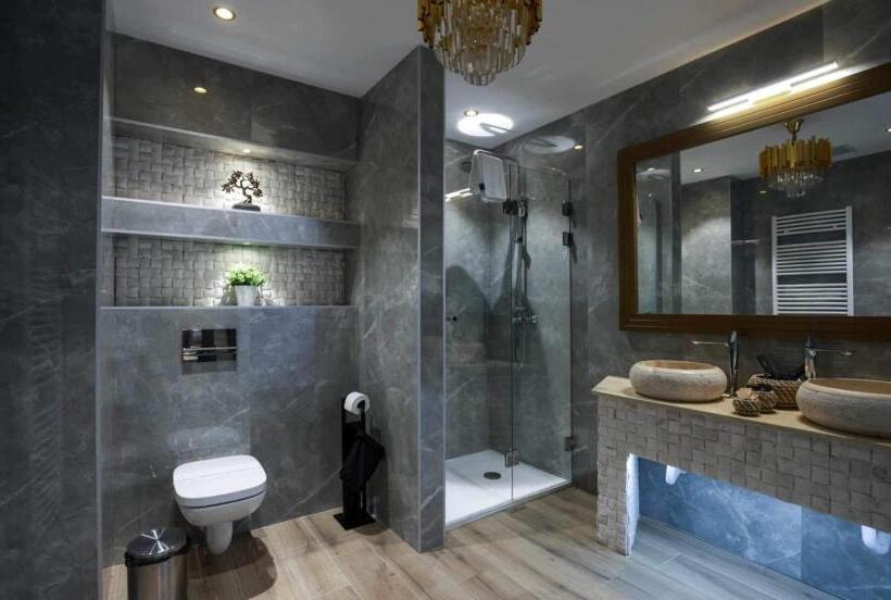 펜트하우스 룸, Elexus Apartments Poiana Brasov