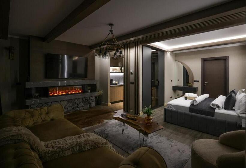 Шале 1 Спальня, Elexus Apartments Poiana Brasov