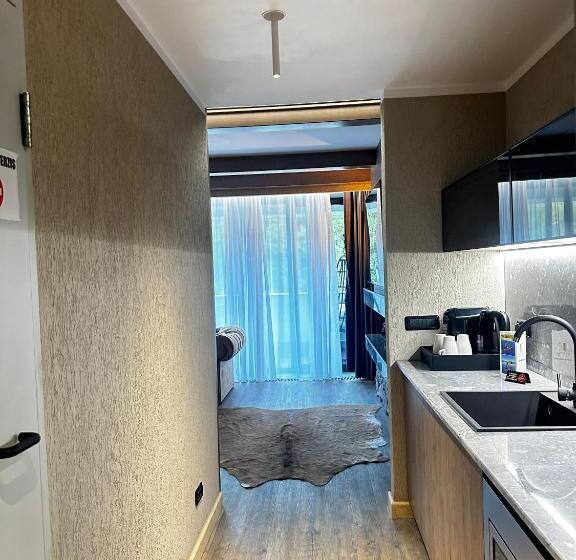 Шале 1 Спальня, Elexus Apartments Poiana Brasov