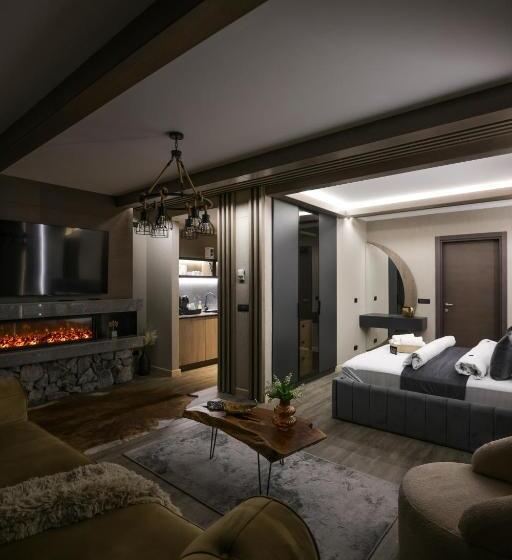 Шале 1 Спальня, Elexus Apartments Poiana Brasov