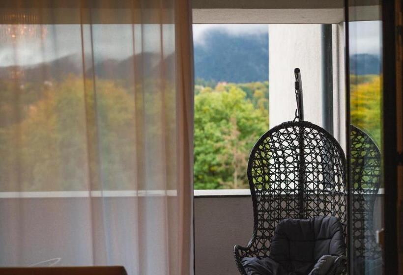 Полулюкс Повышенной Комфортности, Elexus Apartments Poiana Brasov