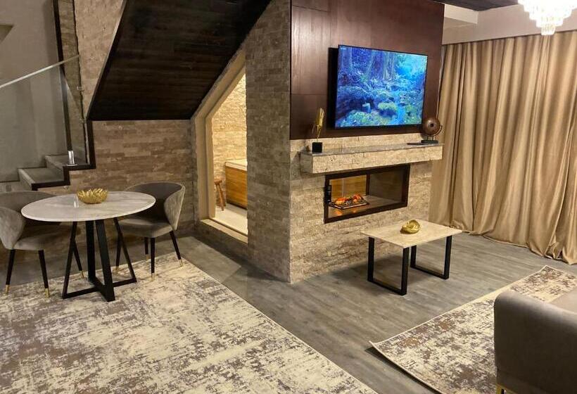 1침실 펜트하우스 아파트, Elexus Apartments Poiana Brasov