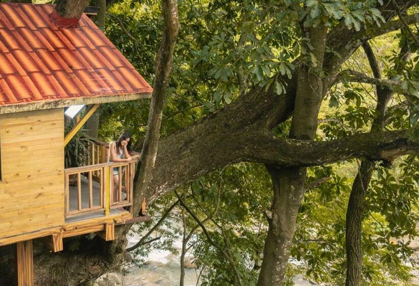 سوئیت با بالکن, Pony Club La Vecindad Tayrona Zaino