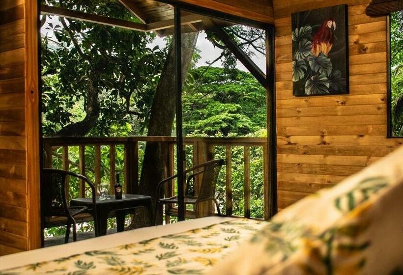 سوئیت با بالکن, Pony Club La Vecindad Tayrona Zaino