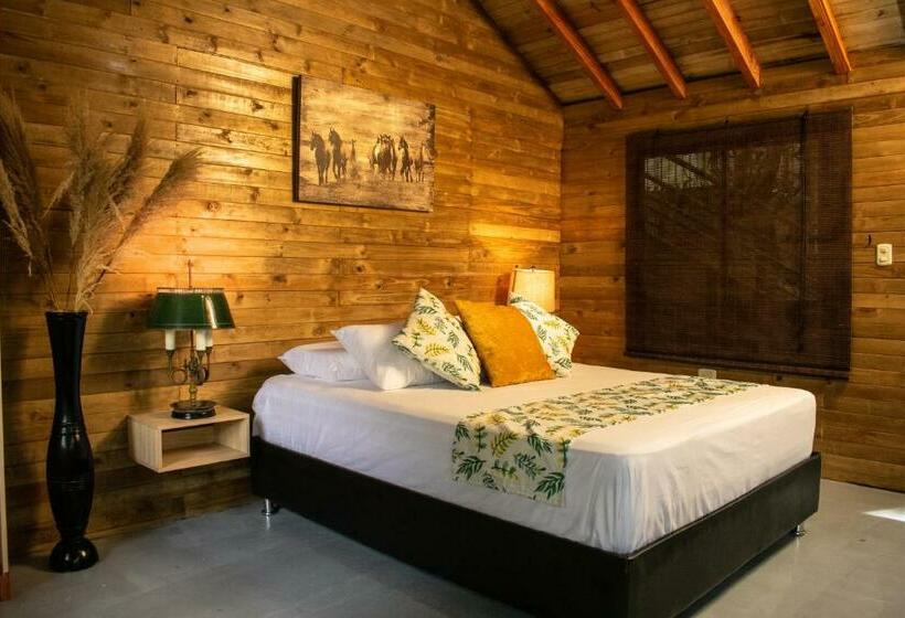 سوئیت با بالکن, Pony Club La Vecindad Tayrona Zaino