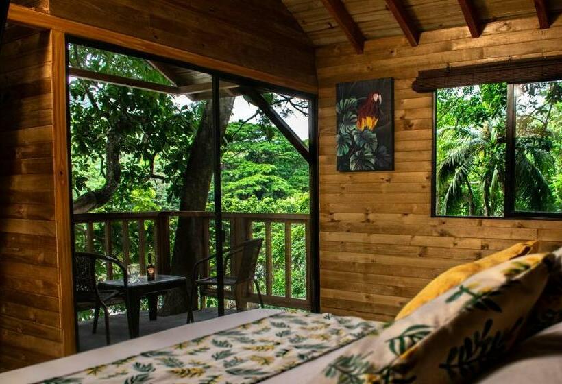 سوئیت با بالکن, Pony Club La Vecindad Tayrona Zaino