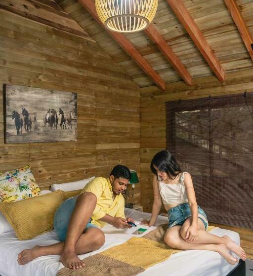 سوئیت با بالکن, Pony Club La Vecindad Tayrona Zaino