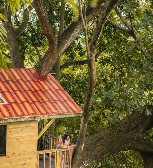 سوئیت با بالکن, Pony Club La Vecindad Tayrona Zaino