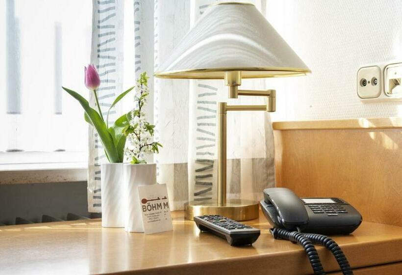 싱글 기본룸, & Apartments Böhm