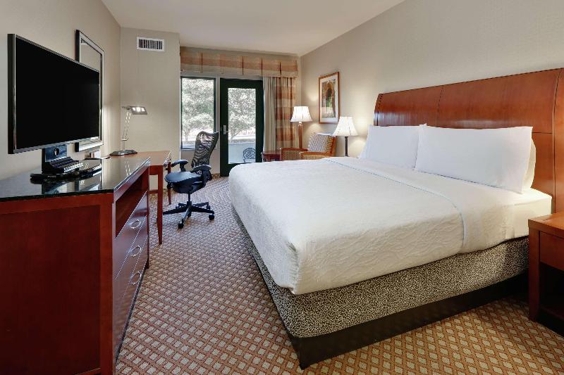 Cameră Standard Pat King Size, Hilton Garden Inn San Diego Del Mar