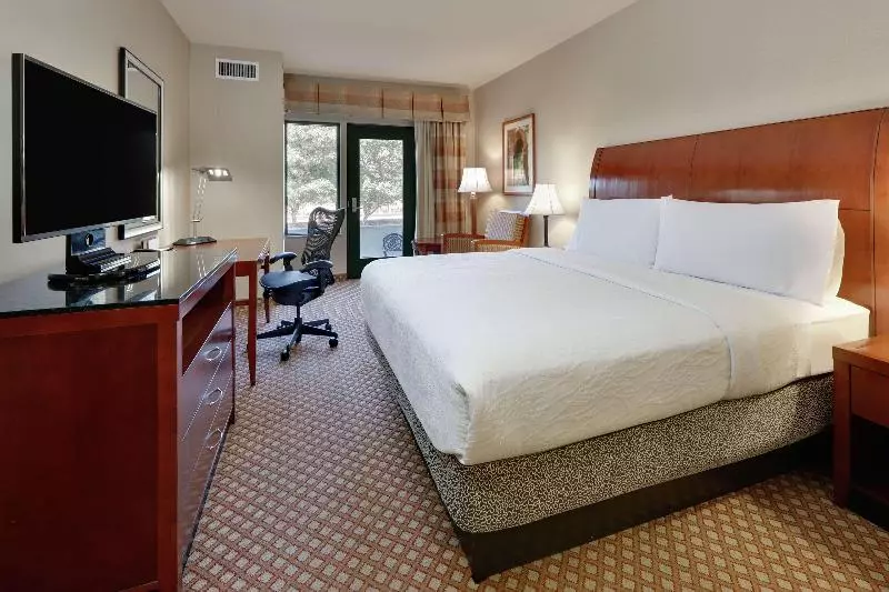 キングサイズベッドのスタンダードルーム, Hilton Garden Inn San Diego Del Mar