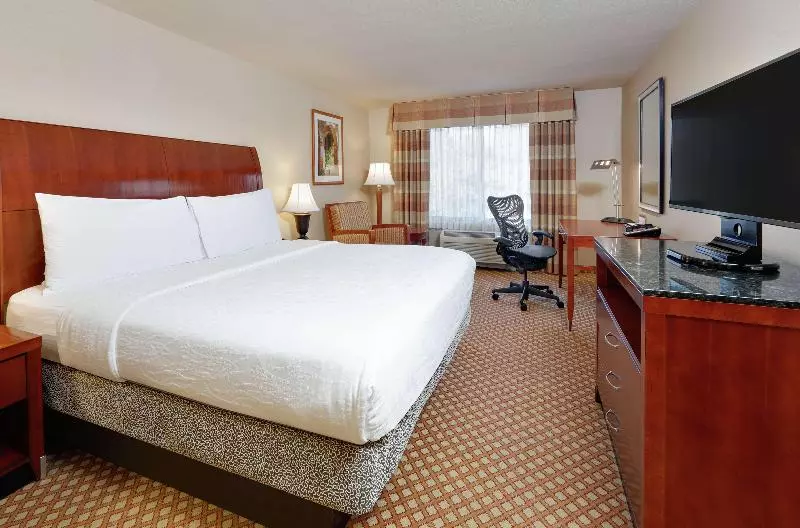 キングサイズベッドのスタンダードルーム, Hilton Garden Inn San Diego Del Mar