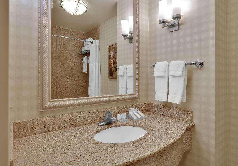 キングサイズベッドのスタンダードルーム, Hilton Garden Inn San Diego Del Mar