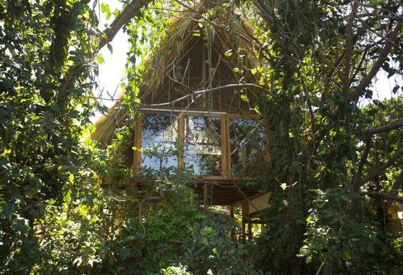 스탠다드 룸 킹사이즈 침대, El Pital, Chocolate Paradise