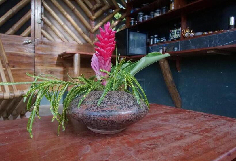 스탠다드 룸 가든 전망, El Pital, Chocolate Paradise