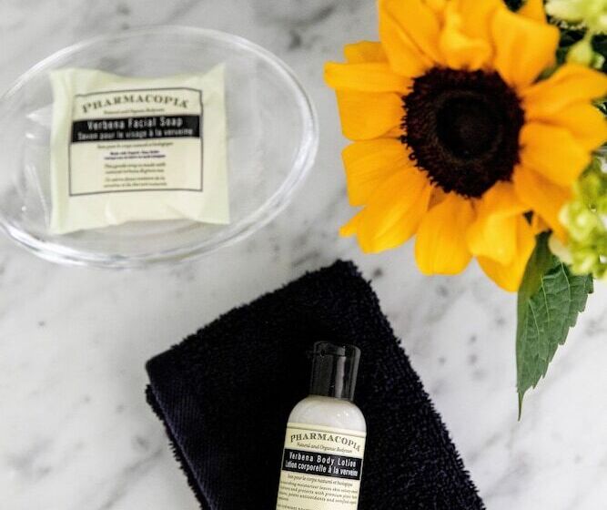 스탠다드 룸 킹사이즈 침대, Wimberley Inn & Bar