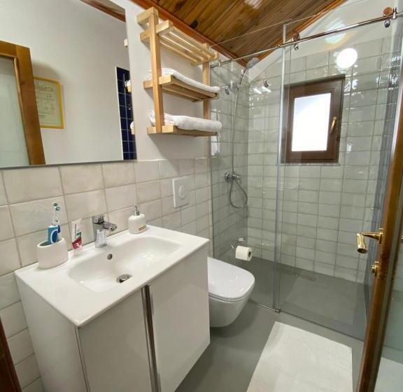 豪华房间, Guesthouse Tershana