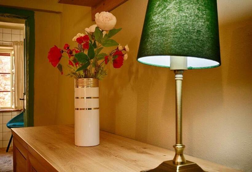 חדר סטודיו סטנדרד, Měšťanský Dům   Kulturní Památka Mlýnská 119