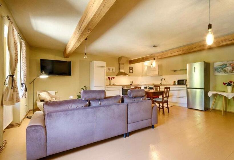 חדר סטודיו סטנדרד, Měšťanský Dům   Kulturní Památka Mlýnská 119