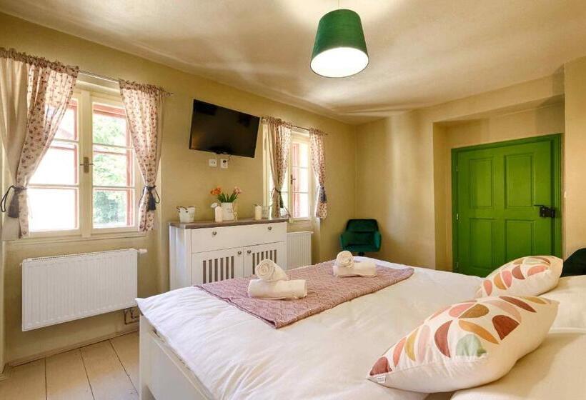 חדר סטודיו סטנדרד, Měšťanský Dům   Kulturní Památka Mlýnská 119