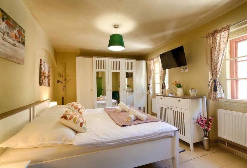 חדר סטודיו סטנדרד, Měšťanský Dům   Kulturní Památka Mlýnská 119