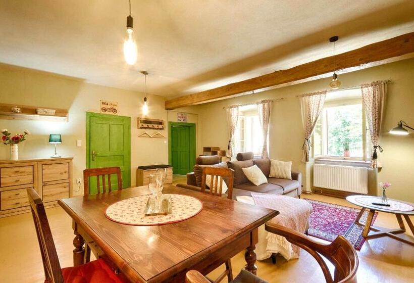 חדר סטודיו סטנדרד, Měšťanský Dům   Kulturní Památka Mlýnská 119