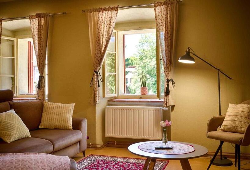 חדר סטודיו סטנדרד, Měšťanský Dům   Kulturní Památka Mlýnská 119