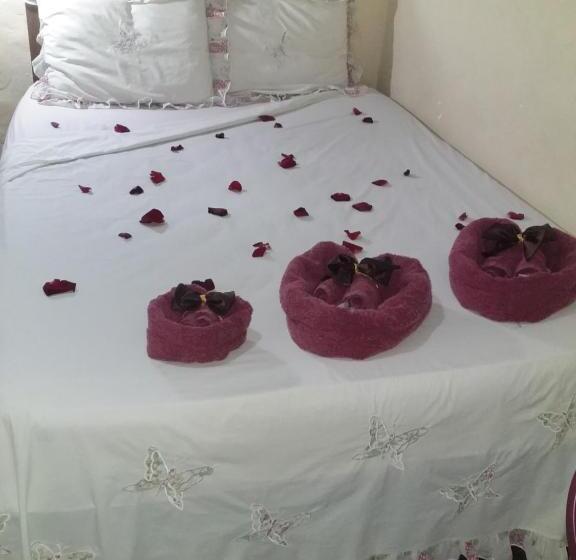 スタンダードスタジオ, Pousada Do Alex