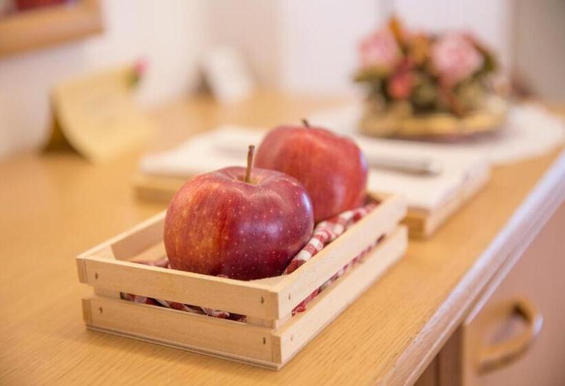 スタンダードルーム, Villa Trieste