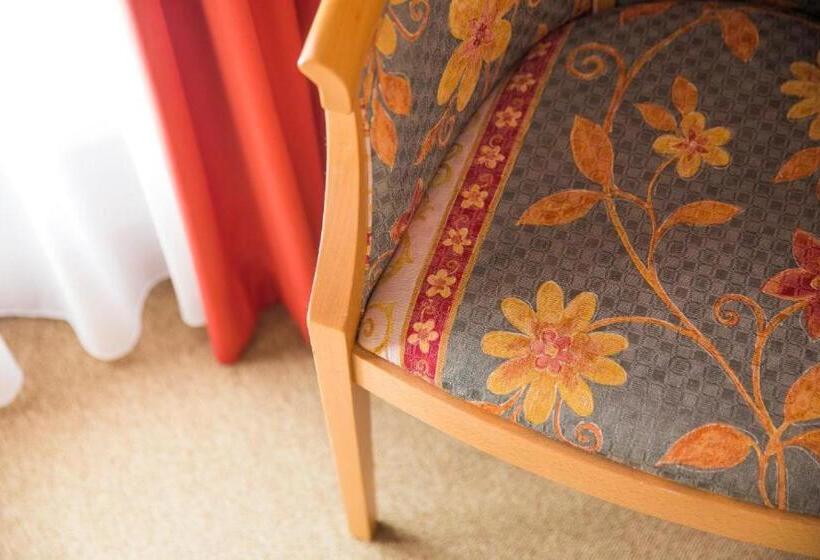 シングルベーシックルーム, Villa Trieste