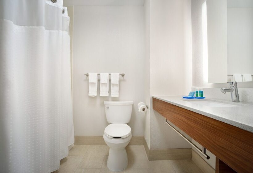 스위트, Holiday Inn Express Hotel & Suites Dallas Ne   Allen, An Ihg