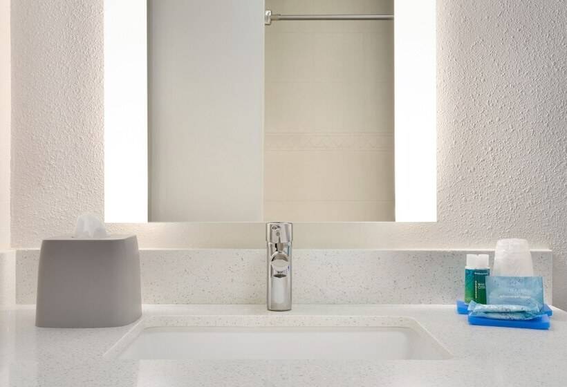 스위트, Holiday Inn Express Hotel & Suites Dallas Ne   Allen, An Ihg