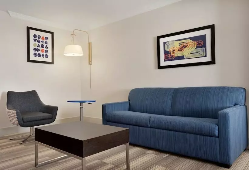 身障者適用スイートルーム, Holiday Inn Express Hotel & Suites Dallas Ne   Allen, An Ihg