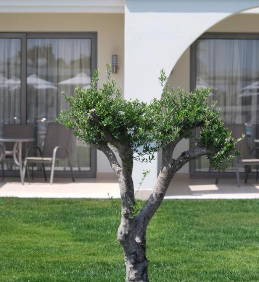 غرفة قياسية مطلّة علي الحديقة, Apollo Blue