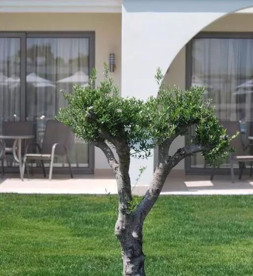 اتاق استاندارد با چشم‌انداز باغ, Apollo Blue